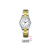 Men's Watch Q&Q Mod. GENT DAY & DATE