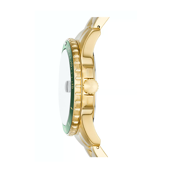 Men's Watch FOSSIL Mod. FS6030