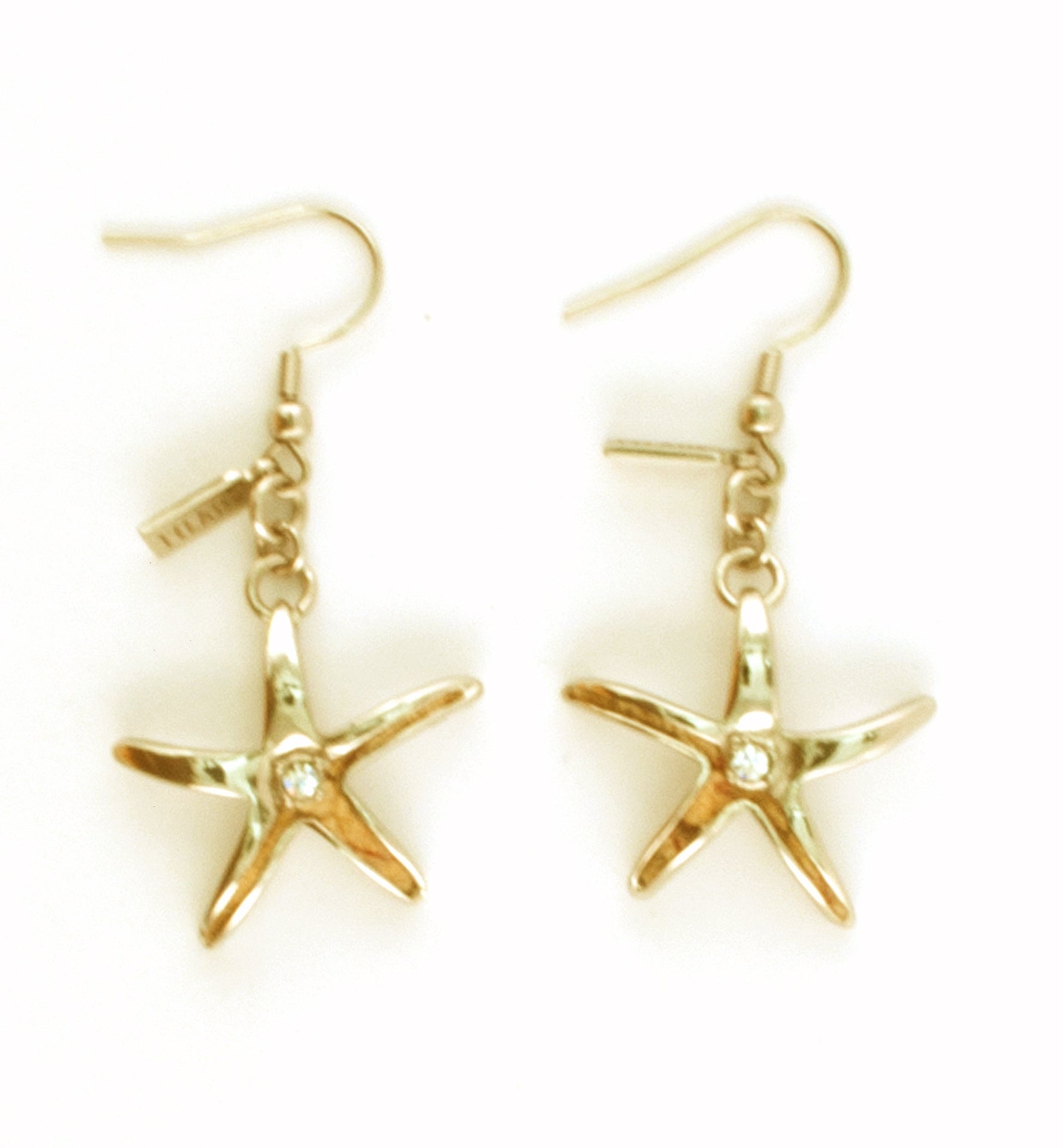 Women's Fashion Earrings ALVIERO MARTINI JEWELS Mod. JPCM1000_131G