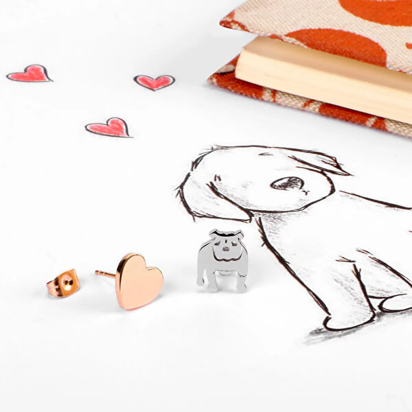 Women's Fashion Earrings LA PETITE STORY Mod. LPS01AQI01
