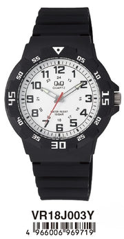 Men's Watch Q&Q Mod. DIVER - GENT